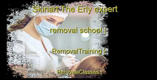 Skinart The Erly expert removal school | RemovalTraining | RemovalClasses | SkinartTraining-United States